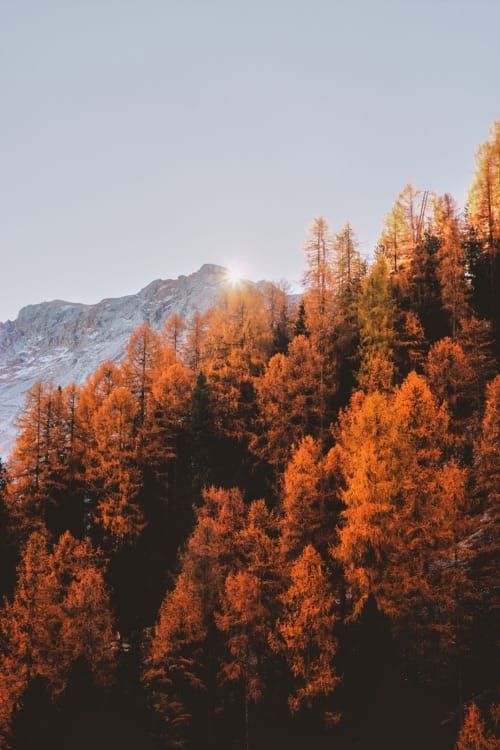 Herbstfarben in den Berge von Südtirol